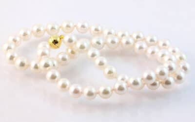 119479 : 9 Carat Yellow Gold Akoya Pearl Necklace